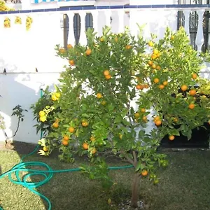 Capistrano1 , Nerja España